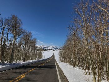 Empty road along bare trees in winter