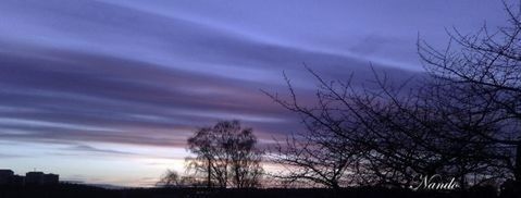 Low angle view of bare trees against sky