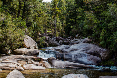 Stream flowing through rocks in forest