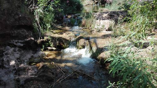 Stream flowing through rocks in forest