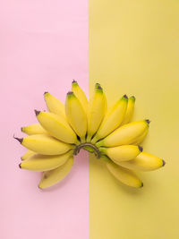 Close-up of yellow flower