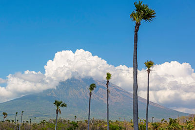 View from black sand beach in amed village on volcano agung, island bali, indonesia.