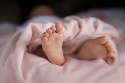 Low section of baby lying on bed