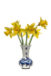 Close-up of yellow flower vase against white background