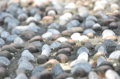 Full frame shot of pebbles on beach