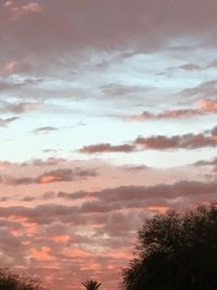 Low angle view of trees against cloudy sky