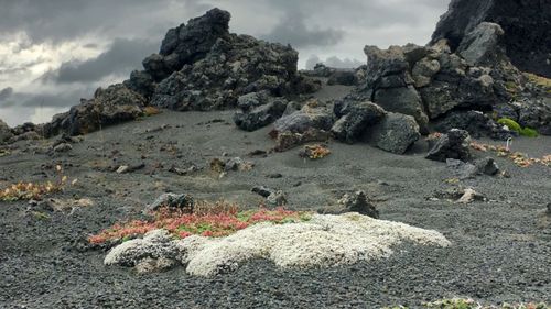 Rocks on land against sky