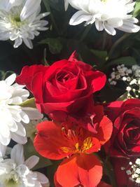 Close-up of white roses