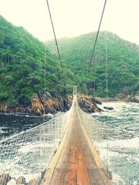 Footbridge over river in forest against clear sky