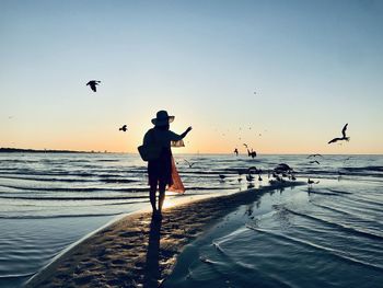 Rear view of woman feeding birds beach against sky during sunset