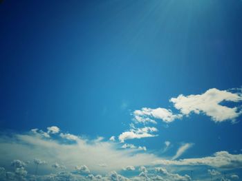 Low angle view of trees against blue sky