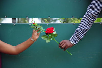 Midsection of man holding flower against wall