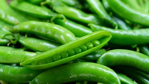 Full frame shot of green chili peppers