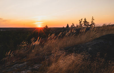 Scenic view of landscape against sky during sunset