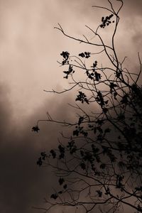 Low angle view of bare tree against cloudy sky