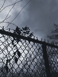 Low angle view of bare trees against sky