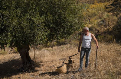 Adult man in white tank top and jeans standing with olive tree in summer