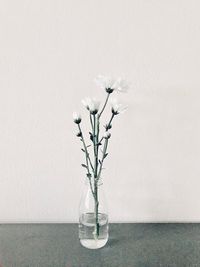 Close-up of flower vase on table against wall