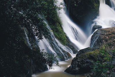 Low angle view of waterfall in forest