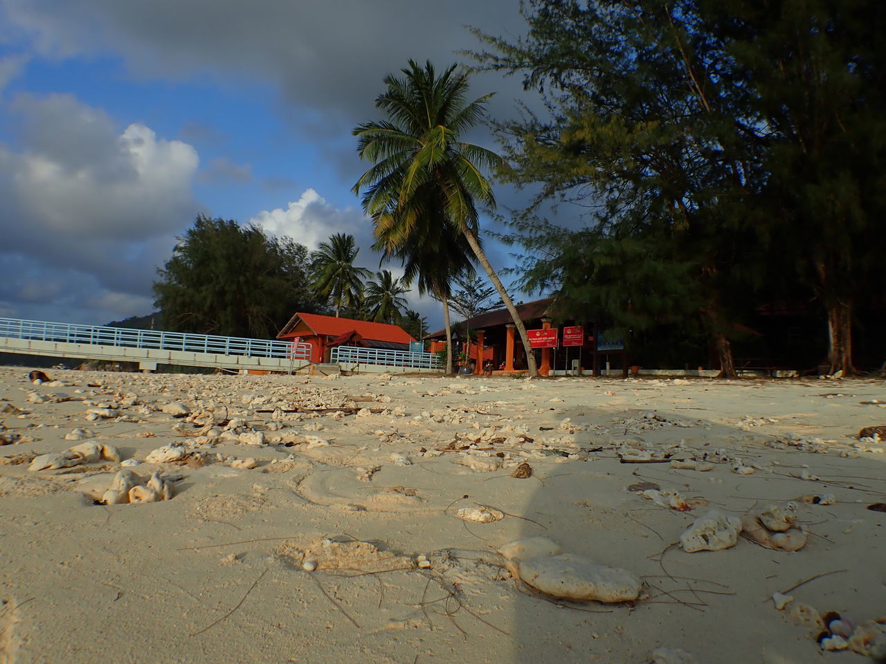 SCENIC VIEW OF BEACH BY PALM TREES AGAINST SKY