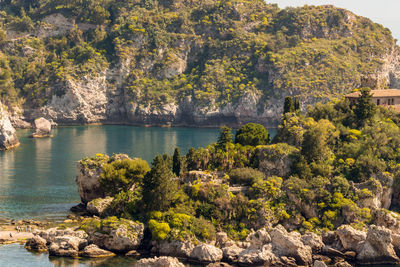 Scenic view of sea against trees