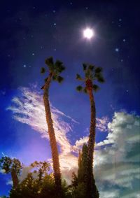 Low angle view of trees against sky