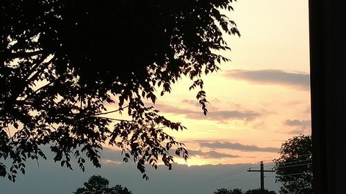 Silhouette of trees against sky at sunset