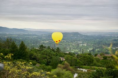 Hot air balloons flying over landscape against sky