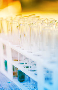 Close-up of test tubes in rack at medical laboratory