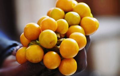 Close-up of hand holding fruits