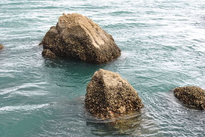 Rocks in sea