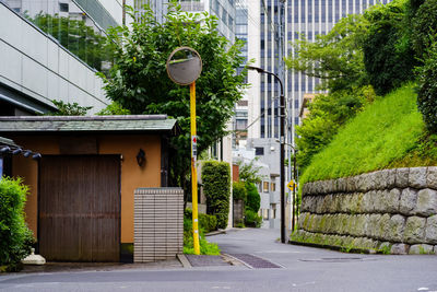 Street amidst trees and buildings in city