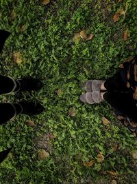 Low section of person standing on grass
