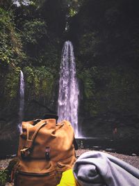 View of waterfall against trees in forest