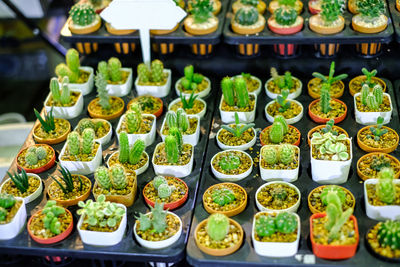 Various vegetables for sale in market