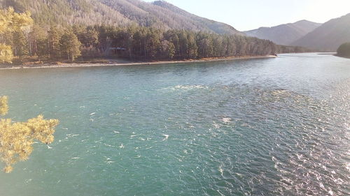 Scenic view of lake in forest against sky