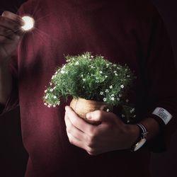 Close-up of man holding plant