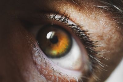 Close-up of human eye