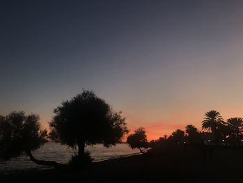 Silhouette trees on field against sky at sunset