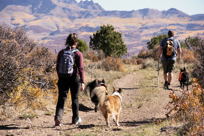 Rear view of men standing on mountain road