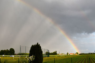 Scenic view of rainbow over field against sky