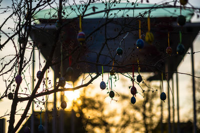 Low angle view of bare tree against sky