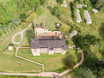 High angle view of trees and plants on field