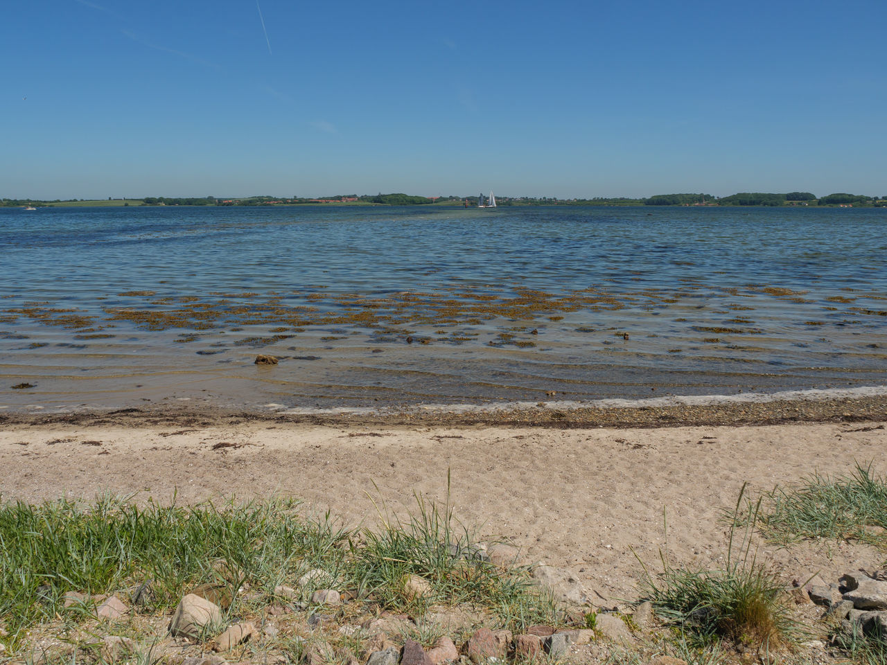 SCENIC VIEW OF BEACH AGAINST CLEAR SKY