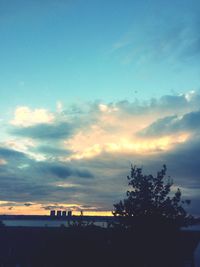 Silhouette of trees at sunset