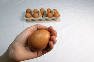High angle view of hand holding eggs