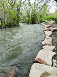 Scenic view of river by trees