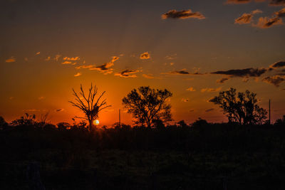 Silhouette trees on field against sky at sunset