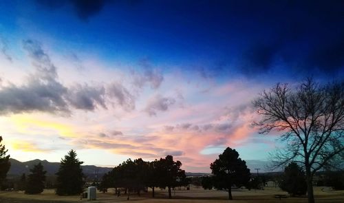 Silhouette trees on field against sky at sunset