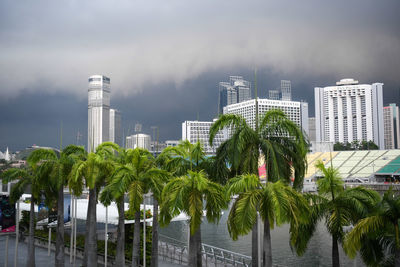 Palm trees and modern buildings against sky